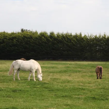 Pebble Mill 3*